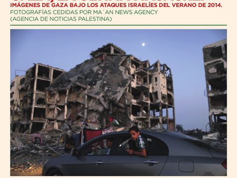 Cartel gaza olvera