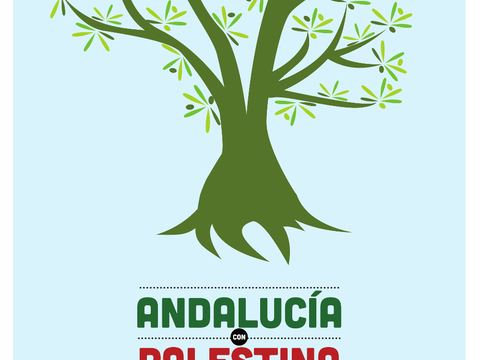 ENARA cartel olivo