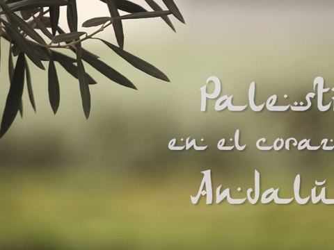 Andalucía Solidaria con Palestina, fotografía 23