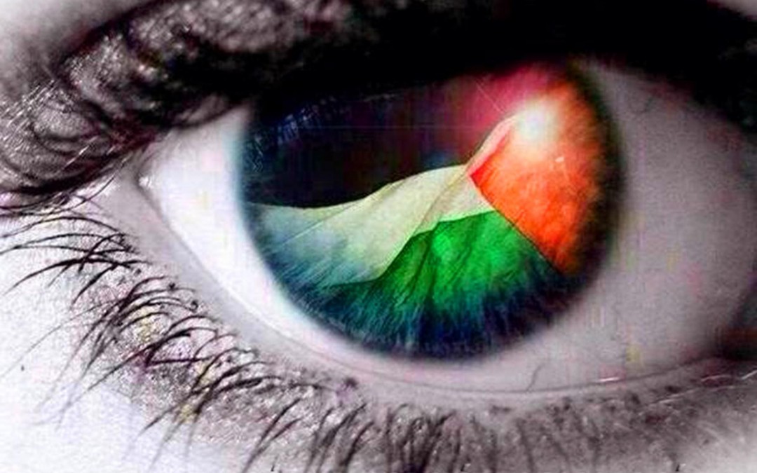 II Jornadas Interuniversitarias de Investigaciones sobre Palestina