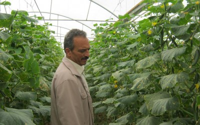 La cifras de la cooperación andaluza en Palestina