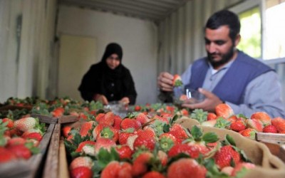 Dinamarca debatirá en su Parlamento el reconocimiento de Palestina