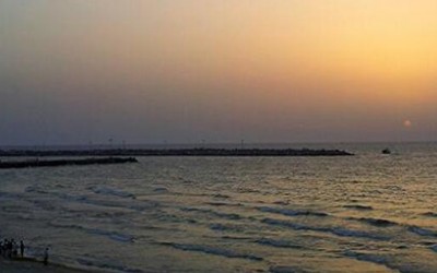 Gaza se prepara para recibir una flotilla internacional con material humanitario