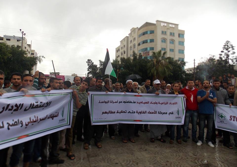 Publicado el anuario estadístico de Palestina de 2014