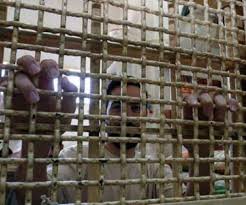 Crece un 500 % la cifra de palestinos detenidos sin juicio en 2015