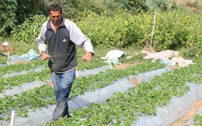 Marwan consigue trabajo en Gaza gracias a un programa de empleo de UNRWA